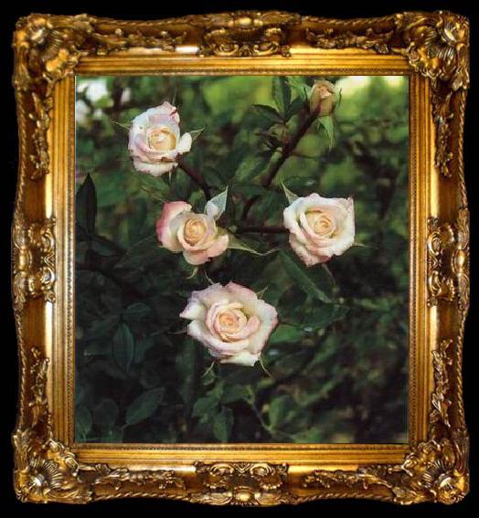 framed  unknow artist Still life floral, all kinds of reality flowers oil painting  381, ta009-2